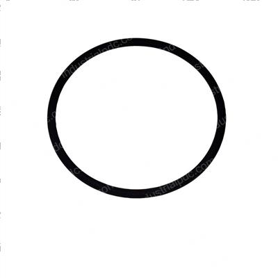 Picture of O-Ring