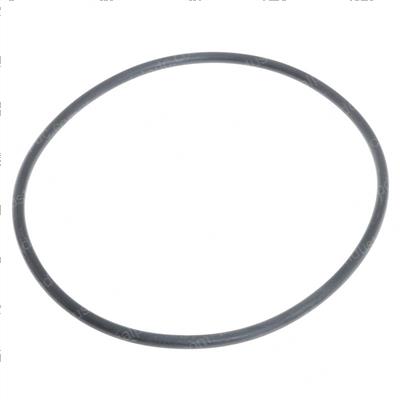 Picture of O-Ring