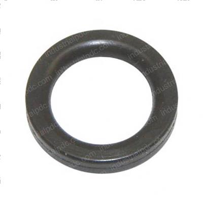 Picture of O-Ring