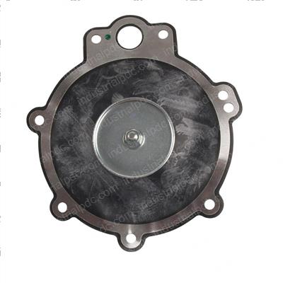 Picture of Diaphragm Assembly