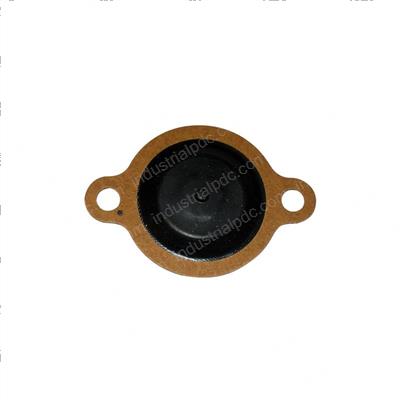 Picture of Diaphragm