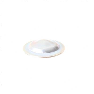 Picture of Guide Spring