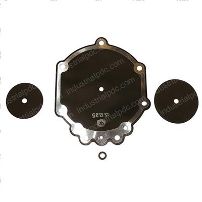 Picture of Diaphragm