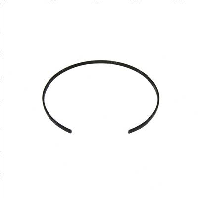 Picture of Spring - Expander