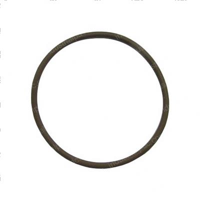 Picture of Seal