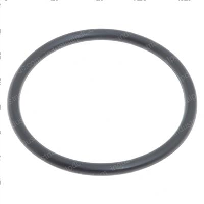 Picture of O-Ring