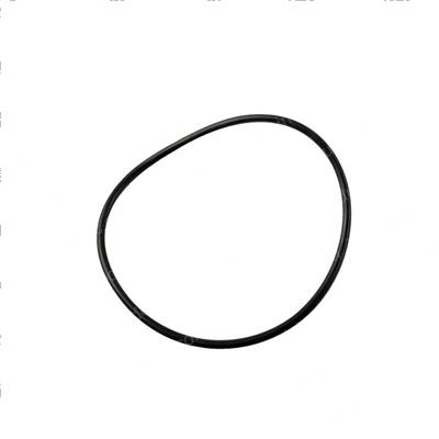 Picture of O-Ring