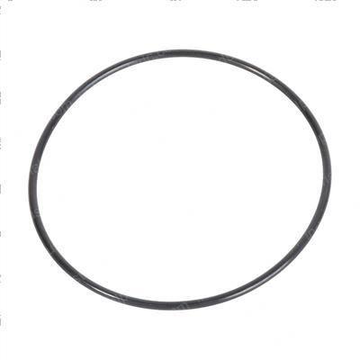 Picture of O-Ring