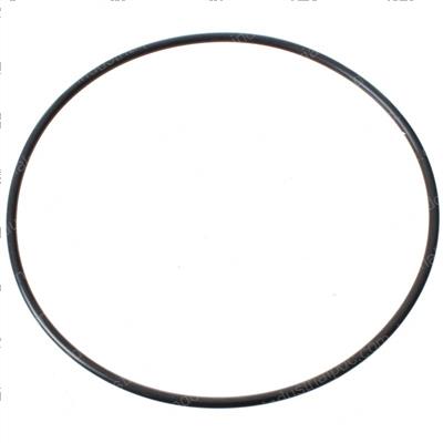Picture of O-Ring