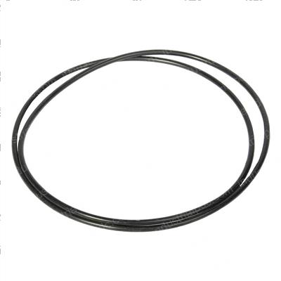 Picture of O-Ring