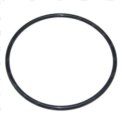 Picture of O-Ring
