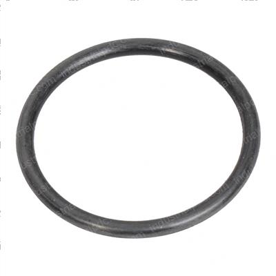 Picture of O-Ring