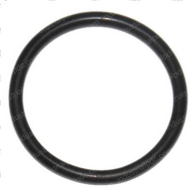 Picture of O-Ring