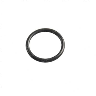 Picture of O-Ring