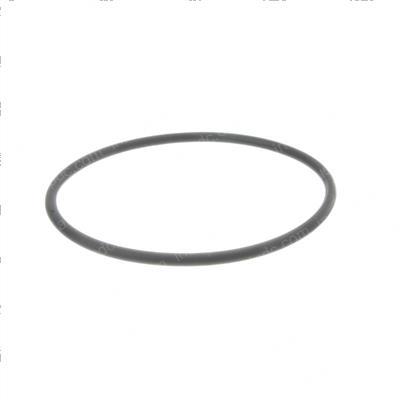 Picture of O-Ring - Fuel Filter