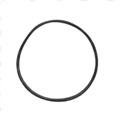 Picture of O-Ring