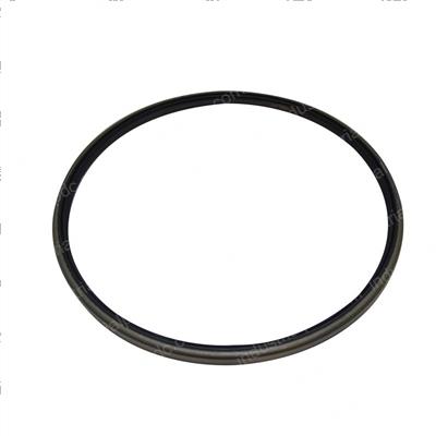 Picture of Seal - Oil