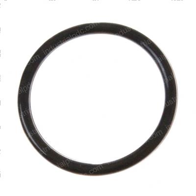 Picture of O-Ring