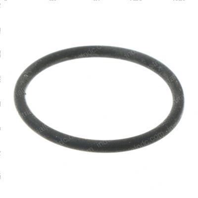 Picture of O-Ring