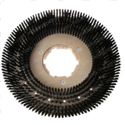 Picture of Brush - Scrub Pyp 20in