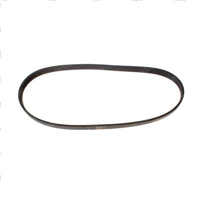 Picture of Belt - Ribbed