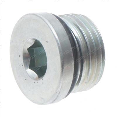 Picture of Valve Cavity Plug