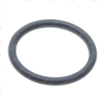 Picture of O-Ring 19 X 2.4