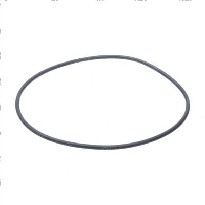 Picture of O-Ring