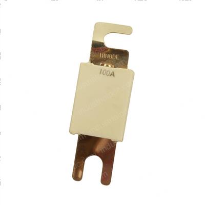 Picture of Fuse 100a