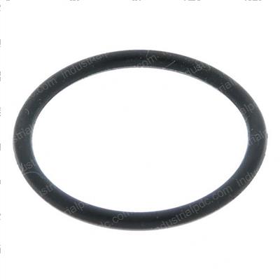 Picture of O-Ring