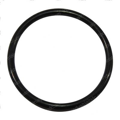 Picture of O-Ring