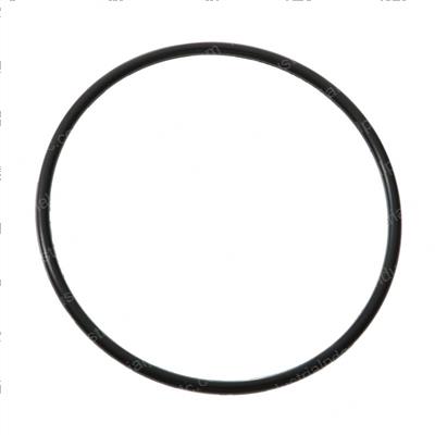 Picture of O-Ring