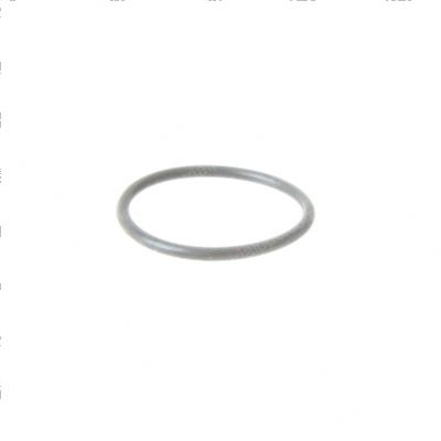 Picture of O-Ring