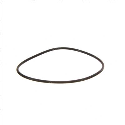 Picture of O-Ring