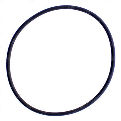 Picture of O-Ring