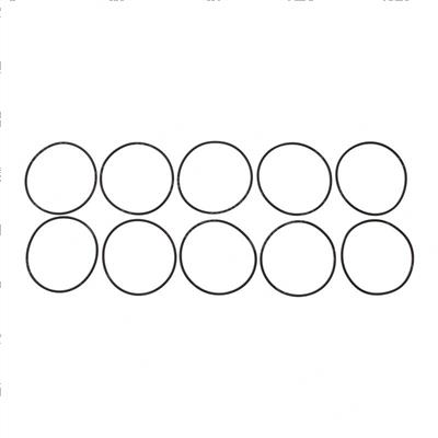 Picture of O-Ring