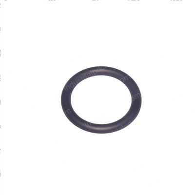 Picture of O-Ring
