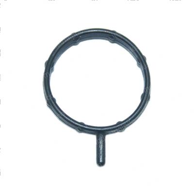 Picture of Seal