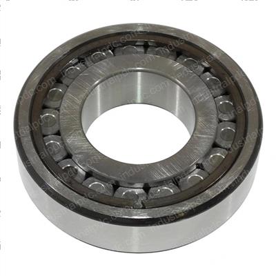 Picture of Bearing - Roller