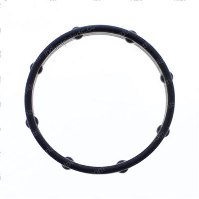 Picture of O-Ring