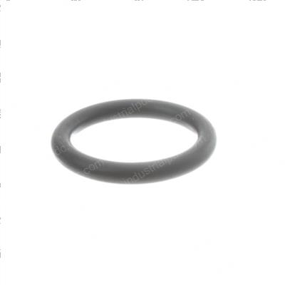 Picture of O-Ring