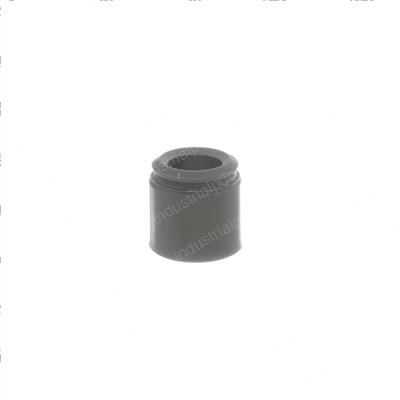 Picture of Seal