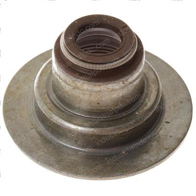 Picture of Seal