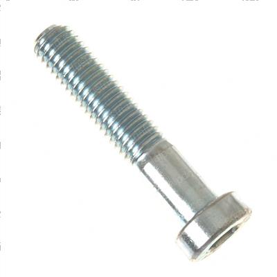 Picture of Screw