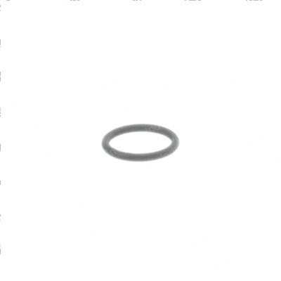 Picture of O-Ring