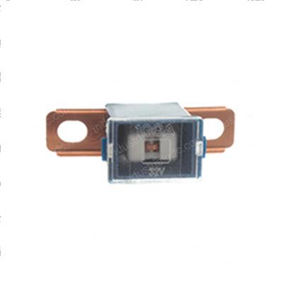 Picture of Fuse 100a