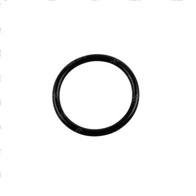 Picture of O-Ring