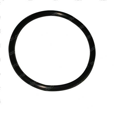 Picture of O-Ring