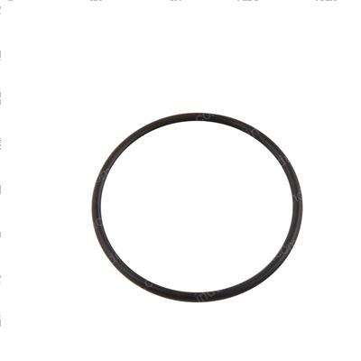 Picture of O-Ring