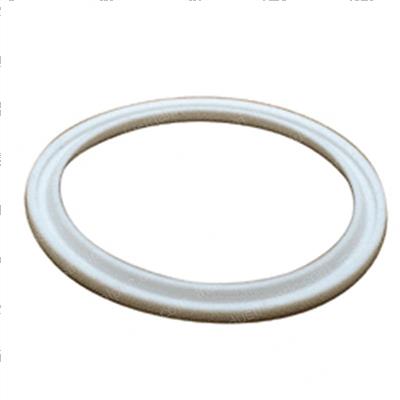 Picture of Seal - Teflon